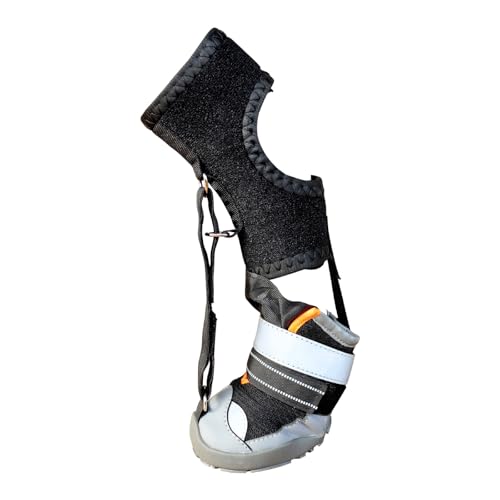 Chaussures chien antidérapantes pour éviter les blessures aux pattes