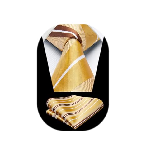 Image of HISDERN Pre Tied Ties for Men Adjustable Mens Tie Classic Paisley Stripe Necktie and Pocket Square Set for Wedding Party