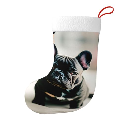 Adorabile bulldog francese stampa lussuosi calzini decorativi, design per una stagione gioiosa, ornamento natalizio a tema festivo, Nero , Taglia unica