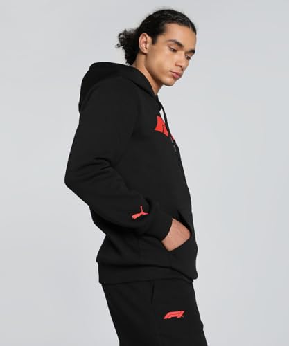 PUMA Formula 1 Essentials Logo Hoodie Men's2