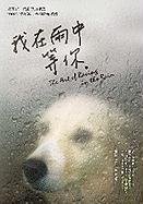 The Art of Racing in the Rain / Wo zai yu zhong deng ni (Chinese Edition)