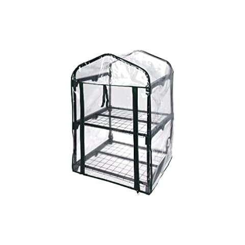 BARGAIN4ALL 2-Tier Mini Greenhouse with Frame - Garden Grow House - Sturdy Shelves - for Plants, Seedlings - with Roll-Up Weatherproof PE Cover, Black Cover