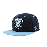 Columbia Lions NCAA Officially Licensed Snapback Hat Flat Brim Z11