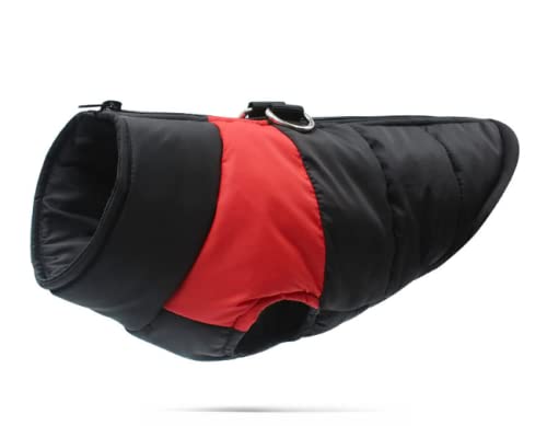 Manteau chien extérieur pour balades d'hiver sous la pluie