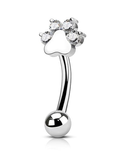 COCHARM Cute G23 Titanium Paw Print Rook Earrings for Women Men-6mm, 8mm 16g Rook Piercing Jewelry Puppy Surgical Steel Eyebrow Rings Internally Threaded Dainty Eyebrow Barbells
