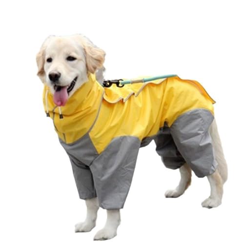 TIKHJ ^A^AS[fgo[ATGhAAXJAhCR[gApt[htCR[gɓKĂ܂ (CG[,26)