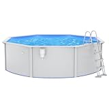 vidaXL Piscina con Scaletta 460x120 cm