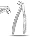 PC EXTRACTING Forceps #38 English Pattern Dental Instruments