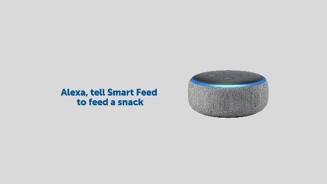 PetSafe Smart Feed - Electronic Pet Feeder for Cats & Dogs - 6L/24 Cup Capacity - Programmable Mealtimes - Alexa, Apple… - Image 7