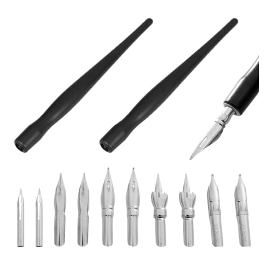 ZKGYUS Plumillas Caligrafia, Plumillas Dibujo Manga, Plumillas, Bolígrafos para Caligrafía, Juego de Bolígrafos de Caligrafía con 2 portaplumas y 10 plumillas, para Principiantes de Cómics