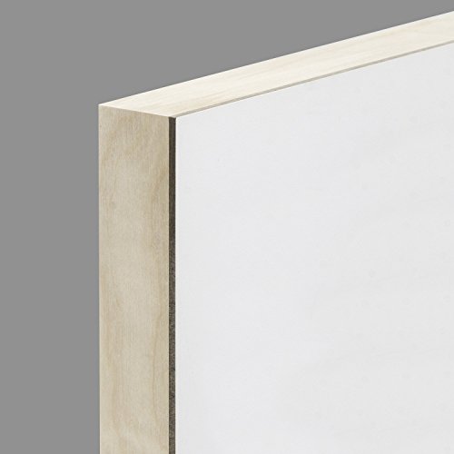 Ampersand Art Supply GBSCG2430 Gesso Wood Painting Panel: Museum Series Gessobord thumb #1
