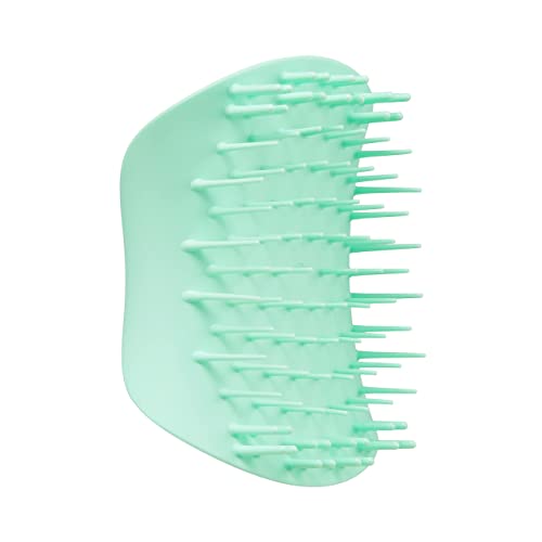 Tangle Teezer Ultimate Detangler Hairbrush & Scalp Massager Bundle, to Exfoliate and Detangle 3C to 4C Curly Hair Types, Purple and Mint