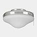 Craftmade ELK113-1GV-W Outdoor Bowl 2-Light Kit 26 Total Watts, Galvanized Steel
