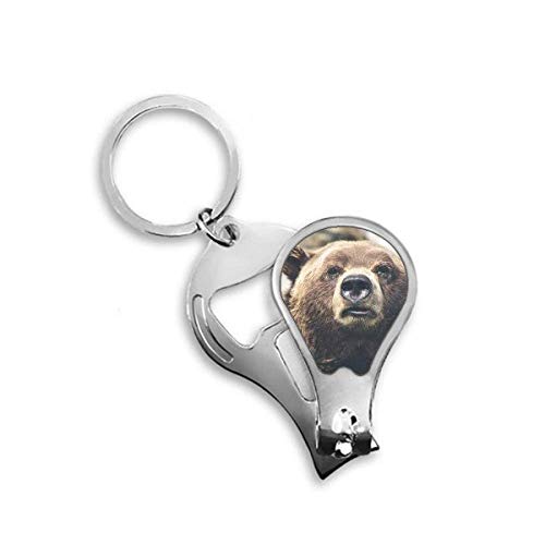 Ours d'animaux sauvages coupe-ongles pour votre routine de pédicure maison