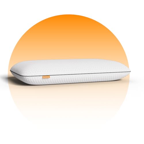 Travesseiro Emma Basics Memory Visco - Tecnologia NASA desenvolvi...