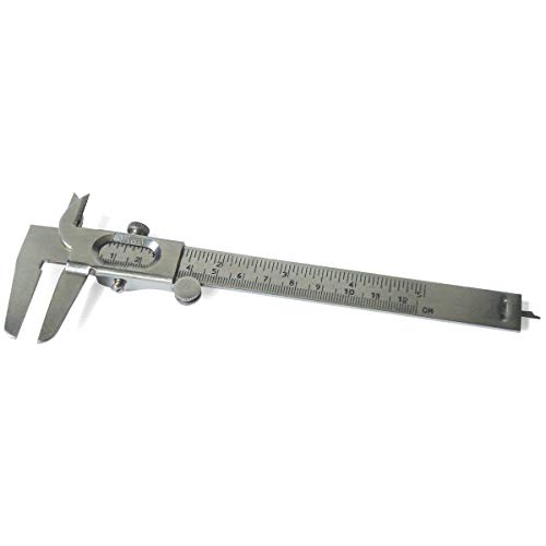 3B Scientific U29625 Pie de Rey S