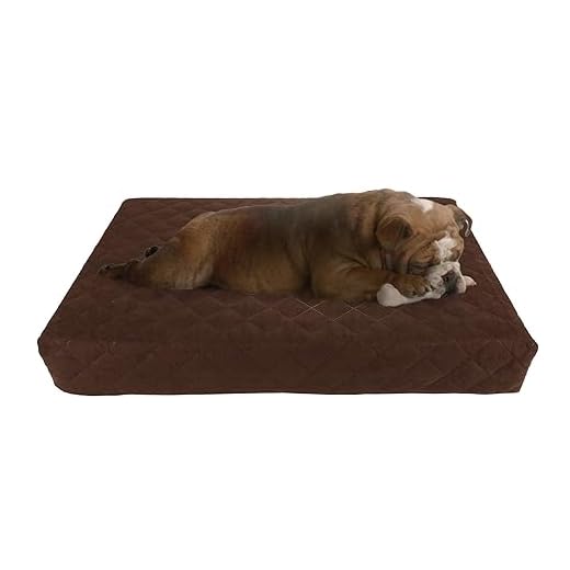 Waterproof Memory Foam Pet Bed- Indoor/Outdoor Dog Bed with Water Resistant Non Slip Bottom and Removeable Washable Cover, 30 x 21 by PETMAKER -Brown