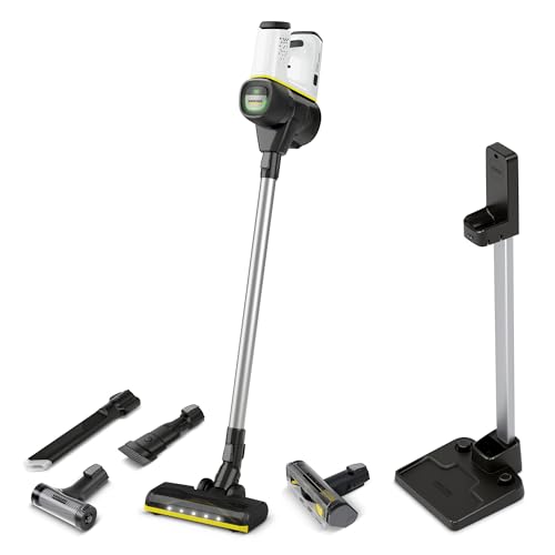 Kärcher VC 6 Cordless ourFamily Extra, Aspiradora de Mano inalámbrica, Blanco, Negro