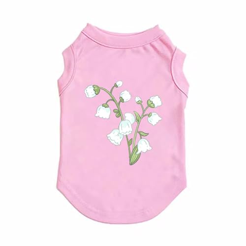 [QINTIW]  t ybg XL  ^ [΍  hbOEFA ̕ 킢 y _炩  іh~ sN Eѕی q ybg L tH~ UoEFA ybgEFA