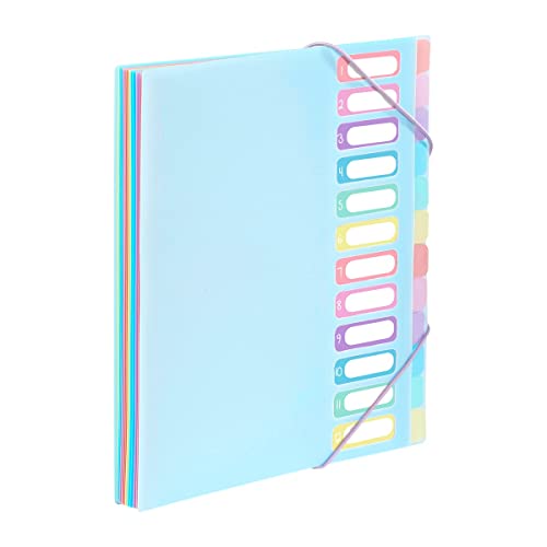 Viquel - Trieur Document A4 avec 12 Compartiments - Organisateur de bureau extensible - Porte...