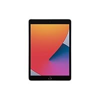 2020 Apple iPad (10,2', Wi-Fi, 32GB) - Grigio siderale (8&ordf; generazione)