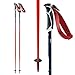 Swix Alpine Ski Poles - Red/Black (110 cm)