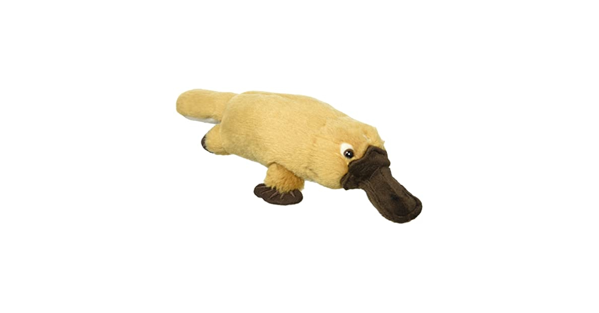 遊ing カモノハシ　ぬいぐるみ Amazon.co.jp: Vaguelly ぬいぐるみ カモノハシ ぬいぐるみ