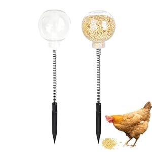 Versatile Chicken Swing Feeder, Fun...