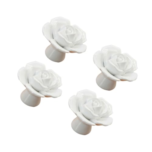 SUNCN 4 t[vnh ԏ Lrlbgp̎ Lrlbgmu Ԃ̑ HI̎ Lb`̑ Z~bNhAmu HĨv