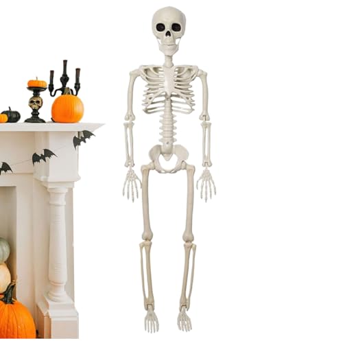 Biniveil Esqueletos de decoração - decoração de Halloween esqueleto corpo inteiro com articulações móveis, figura de caveira óssea para casa encantadora festa repousa mesa jardim