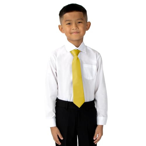 Spring Notion Boys' Satin Zipper Necktie Gold Medium3