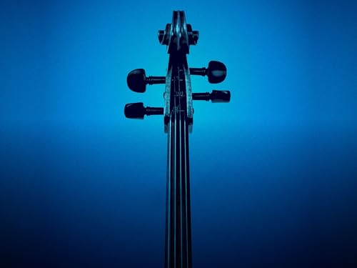 Disney String Quartet