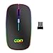 Mouse Bluetooth Senza Fili, Mouse con Ricevitore USB Retroilluminazione a 7 Colori a 2.4GHz, Mouse1600 DPI Compatibile con iPad / PC / MAC / Windows