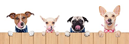 Kronch Pocket Lakse | Doppelpack | 2 x 600g | Getreidefreier Hundesnack mit frischem Lachs und Kartoffelmehl | Kann dabei helfen als Hundesnack für Zwischendurch zu dienen