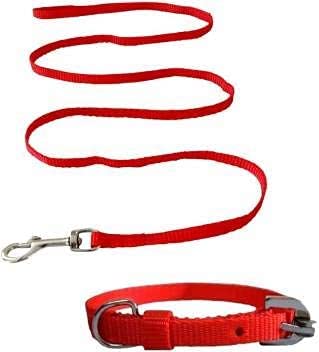 Kapoor Enterprise Dog Collar & Leash (Small, Red) Puppy Nylon Red Leash with Collar Set - Small (B09YY5KDBP) Amazon Price History, Amazon Price Tracker