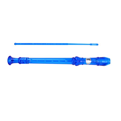 Hozee Flauta Dulce Descant para Niños, Ligera y Azul