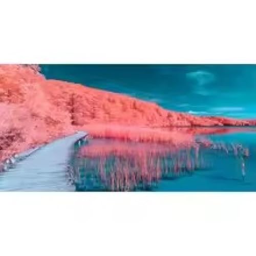 Paysage unique sur toile XINBAO pour une décoration murale raffinée