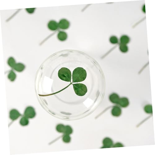 24pcs Plantas secas de trébol prensado para manualidades miniatura 7