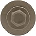 Stainless Steel Metal Roofing Screw: Surrey Beige (250) 12 x 1-1/2
