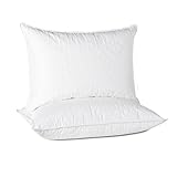 puredown Goose Feather Down Pillows for Sleeping Hotel Collection Quilted Basic Bed Pillows, Set of 2, King Size