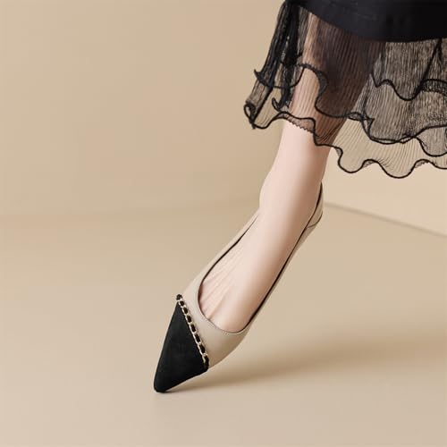 Women's Cap Closed Pointed Toe Pumps Low Block Heel Slip-On Work Office Church Casual Dress Basic Metallic Two Toned Shoes Business Comfortable Party All Weather Daily Wear Flats 6