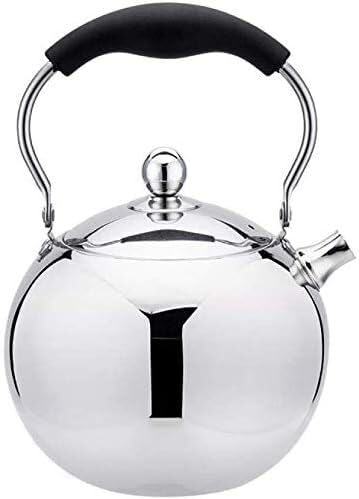 Bouilloire à gaz pour camping en plein air et usage familial 1L en inox