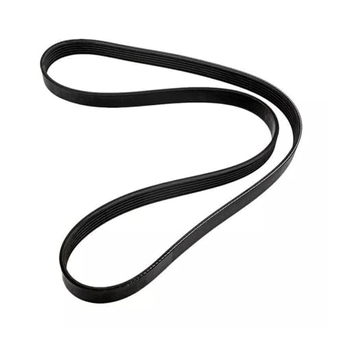 Courroie serpentine 57-865615003 haute resistance piece marine premium