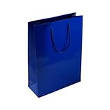 Glossy Laminated Paper Gift Bag with Rope Handles Reusable Christmas Gift Wrap Décor and Party (12 Units) (Blue, Medium)