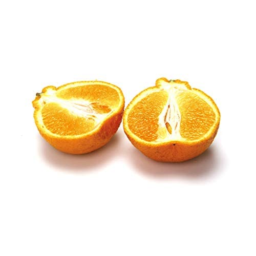 Mandarin Dekopon, 1 Each