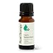 Plant Therapy USDA Certified Organic Spearmint Essential Oil. 100% Pure, Undiluted, Therapeutic Grade. 10 ml (1/3 oz).