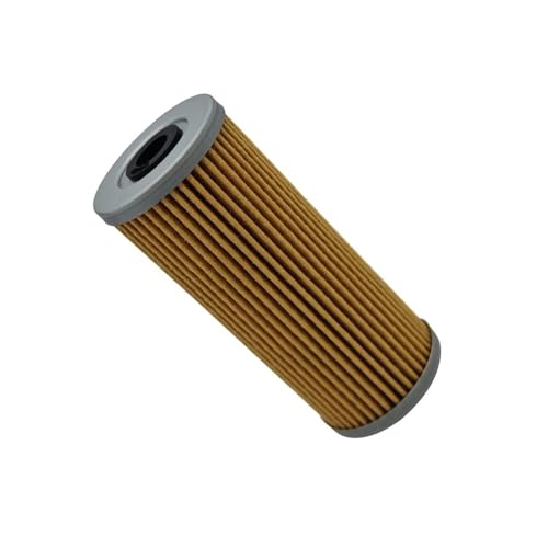 Filtre à huile 910146A pour rouler serein en ATV 1000LTX et UTV