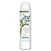 Produktbild Dove Powered by Plants Deodorant Eucalyptus mit pflanzenbasierten Wirkstoffen ohne Aluminiumsalze, 75 ml