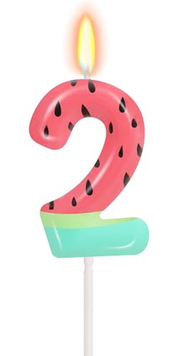 Watermelon Number 2 Candle, Watermelon Birthday Decorations, Cute...