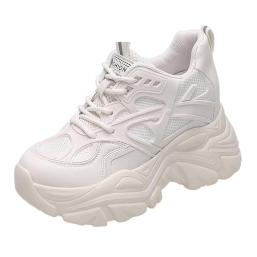 [`CW] fB[X Cq[Xj[J[ Xj[J[ V[NbgV[Y r fB[XXj[J[  V[Y C 22.0 cm q[Abv x[W Xj[J[ Cq[   9cm